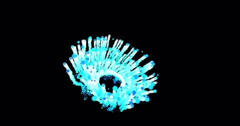 Abstract animation motion design with a beautiful explosion of fireworks bl.. 库存插图