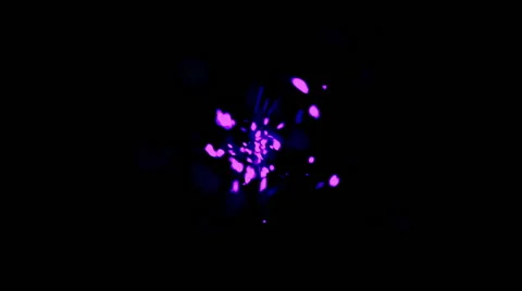 Abstract animation of moving violet light streaks Stock Footage 64710664