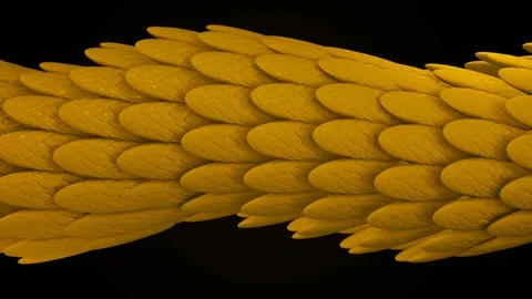 Abstract animation of multicolored 3d glossy snake or dragon scales moving Stock Footage 119850459