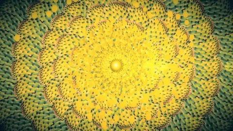 Abstract animation of rotating cactus leaves. Vidéo 73751817