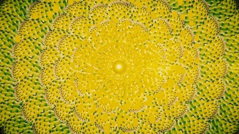 Abstract animation of rotating cactus leaves and particles. Vidéo 73751983