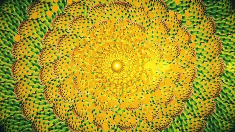 Abstract animation of rotating cactus leaves and particles. Vidéo 73752079