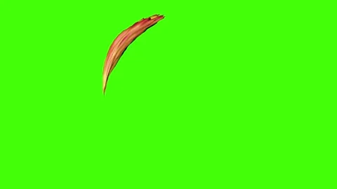 Abstract animation shapes set collection elements on green screen Stock-Footage 160026418