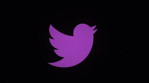 Abstract animation of Twitter app icon decaying into multicolored moving plexus Stock Illustration