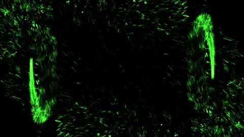 Abstract animation. Two green fast Lights Trail On Black Background. Firework Vidéo 269878247