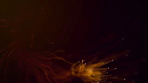 Abstract aqua orange particle background, orange floating particles background Stock Footage 167558286