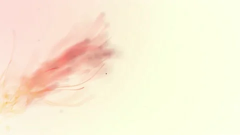 Abstract aqua particle background, Floating orange Particles in Background Stock Footage 164144721