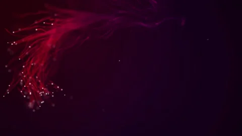 Abstract aqua particle background, Floating red Particles in Background Stock Footage 164145100