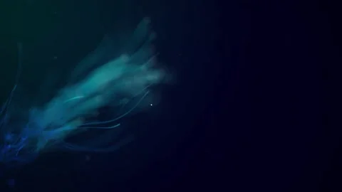 Abstract aqua particle background, Floating blue Particles in Background Stock Footage 164145235