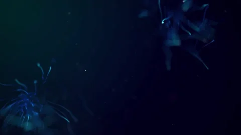 Abstract aqua particle background, Floating blue Particles in Background Stock Footage 167558228