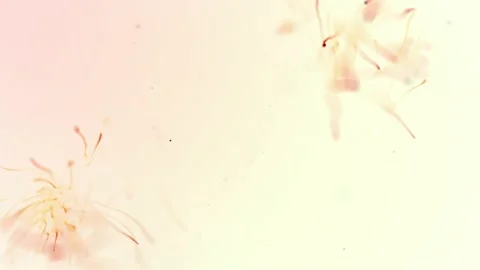 Abstract aqua particle background, Floating orange Particles Stock Footage 167558237