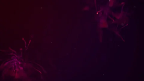 Abstract aqua particle background, Floating red Particles in Background Stock Footage 167558244