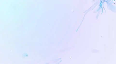 Abstract aqua particle background, Floating blue Particles in Background Stock Illustration