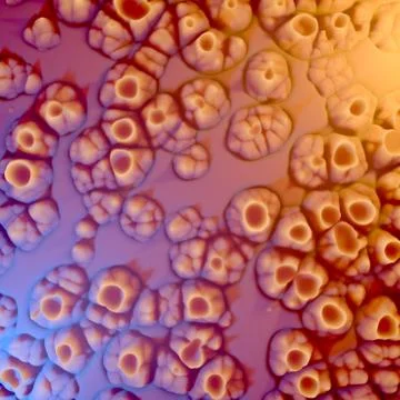 Abstract architectural 3d illustration rendering background texture Stock Illustration