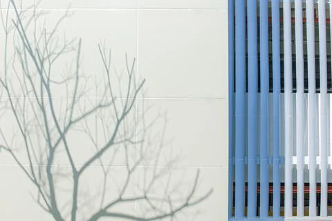 Abstract Architecture with Tree Shadow and Lines Stock Photos