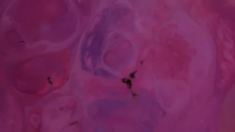 Abstract art background with purple, red, and blue Stock Footage 324941545