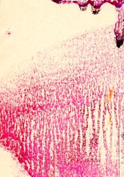 Abstract art backgrounds. Stock Photos