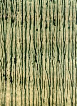 Abstract art backgrounds. Stock Photos