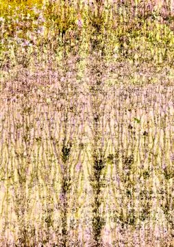 Abstract art backgrounds. Stock Photos