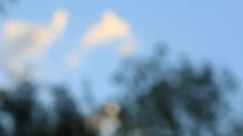  abstract art of natural texture with mirror, trees and water Stock Footage 123799526