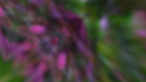 Abstract Art NO.864 Stock Footage 128701077