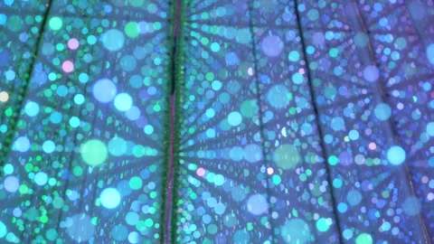 Abstract art, psychedelic bokeh, screen saver backgorund teamLab Planets Tokyo Vídeo Stock 242409036