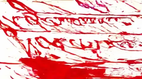 Abstract art  Red ink splatters on a white canvas creating a dynamic and Stock Footage 296219640