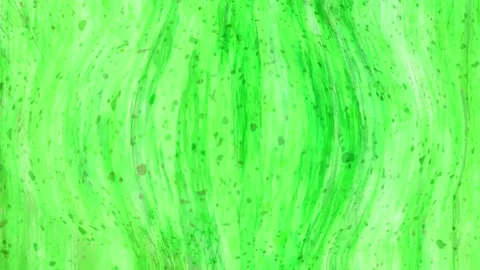 Abstract Art: A Splash of Color Stock Footage 289108450