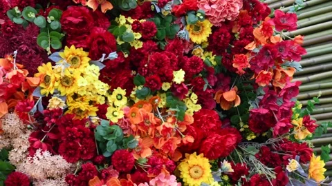 Abstract artificial flower wall Stock Footage 287742040