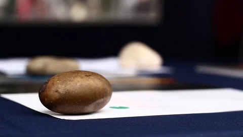 Abstract / Artistic stones display pull focus Stock Footage 102623719