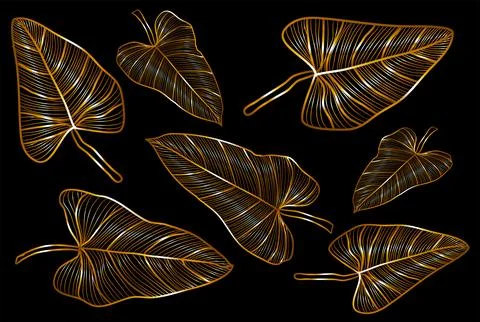 Abstract arts vector collection. Minimal wall art. Stock Illustration