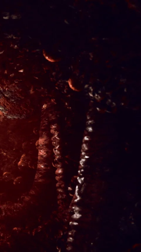 Abstract artwork showing dark textured surface with warm tones and patterns Vidéo 332213575