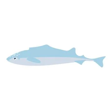 Abstract atlantic cod fish in flat design. Fishing industry aquaculture. Vect Stock Illustration