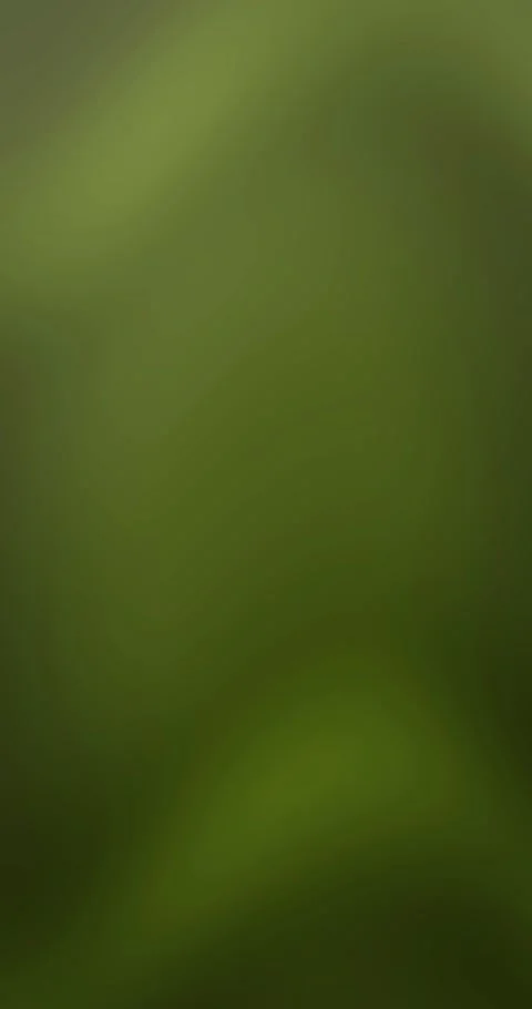 Abstract aurora gradient animated background with lime deep colors Stock Footage 332083607