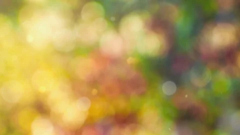 Abstract autumn background with bokeh Video stock 113600031