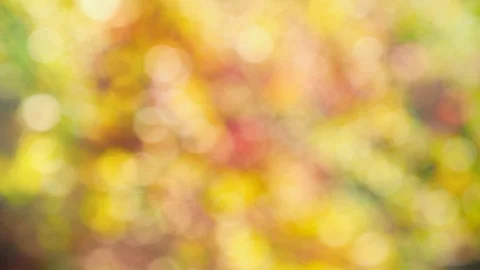 Abstract autumn background with bokeh Video stock 113602021