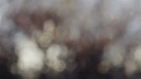 Abstract autumn background with bokeh Stock Footage 113604099