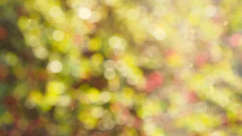 Abstract autumn background with bokeh Stock Footage 114407259