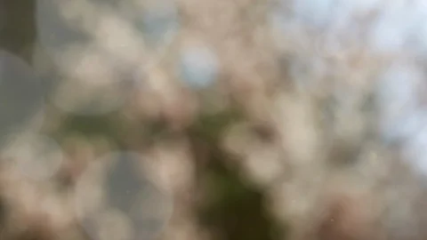 Abstract autumn background with bokeh Stock Footage 114410370