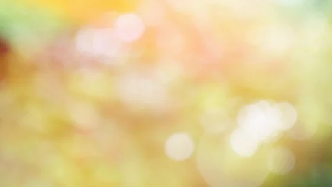 Abstract autumn background with bokeh Stock Footage 114411627