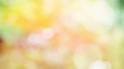 Abstract autumn background with bokeh Stock Footage 115231726