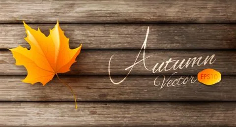 Abstract autumn background Stock Illustration