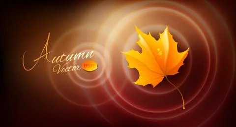 Abstract autumn background Stock Illustration