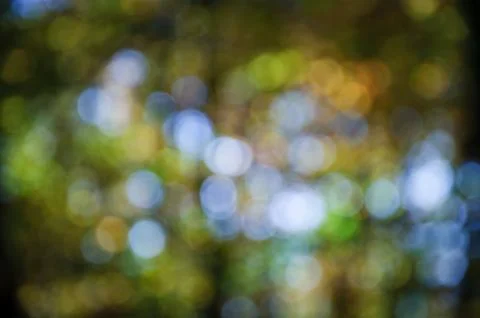 Abstract autumn background Фото