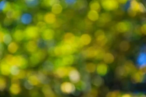 Abstract autumn background Фото