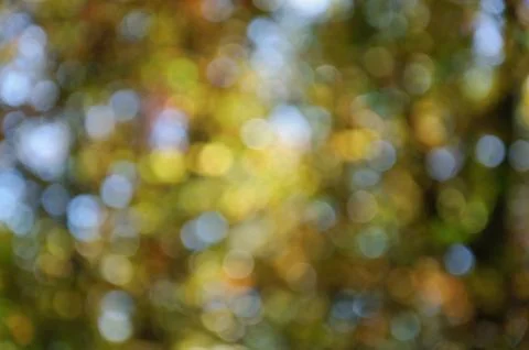 Abstract autumn background Foto stock