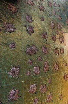 Abstract autumn background Stock Photos