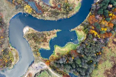 Abstract autumn background Stock Photos