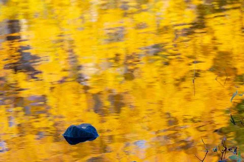 Abstract autumn background Stock Photos