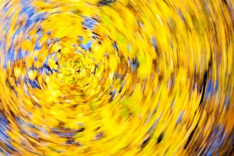 Abstract autumn backgrounds Free Stock Photos